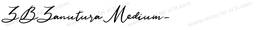 ZBZanutura Medium字体转换